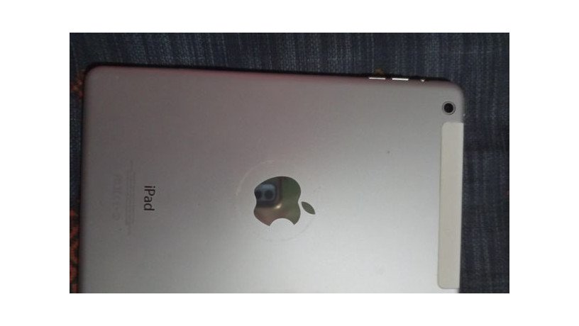apple-ipad-mini2-used-big-0